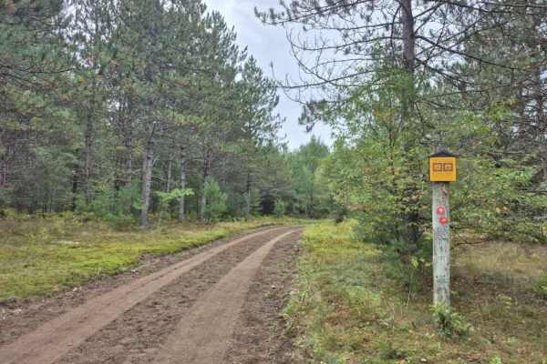 Pitcher Pond Trail