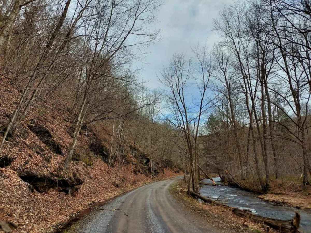 West Hicks Run Road trail photo