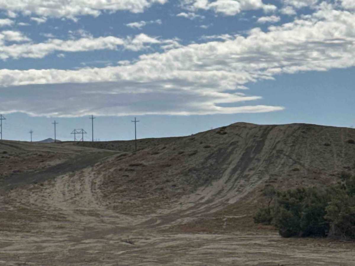 BLM 179 photo 5