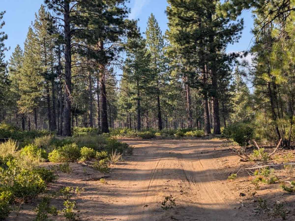 FS 4601322  trail photo