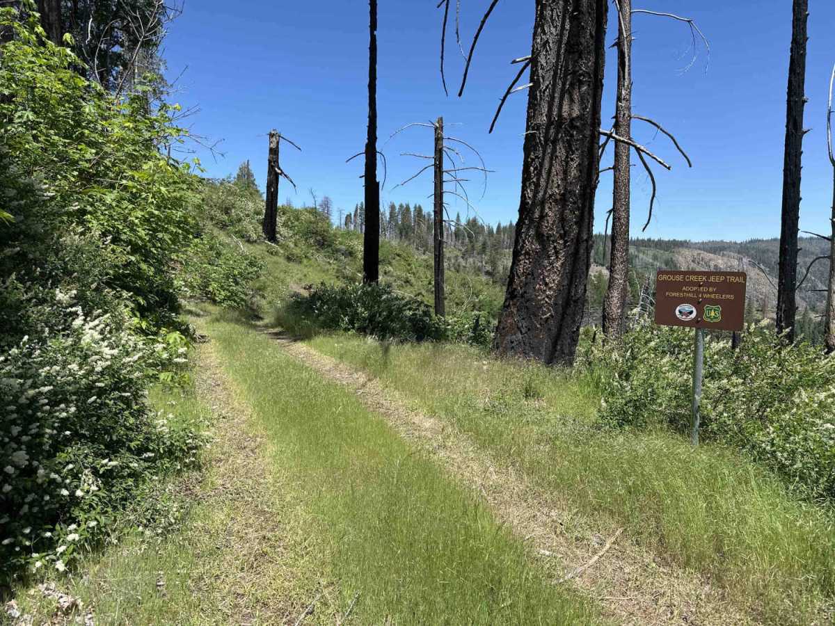 Grouse Creek Jeep Trail - FS 12E23 trail photo