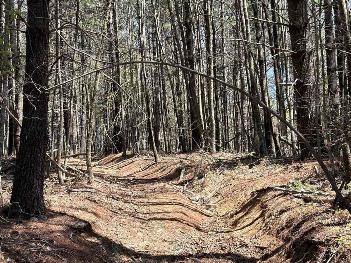 Stonewall Knob Spur photo 5