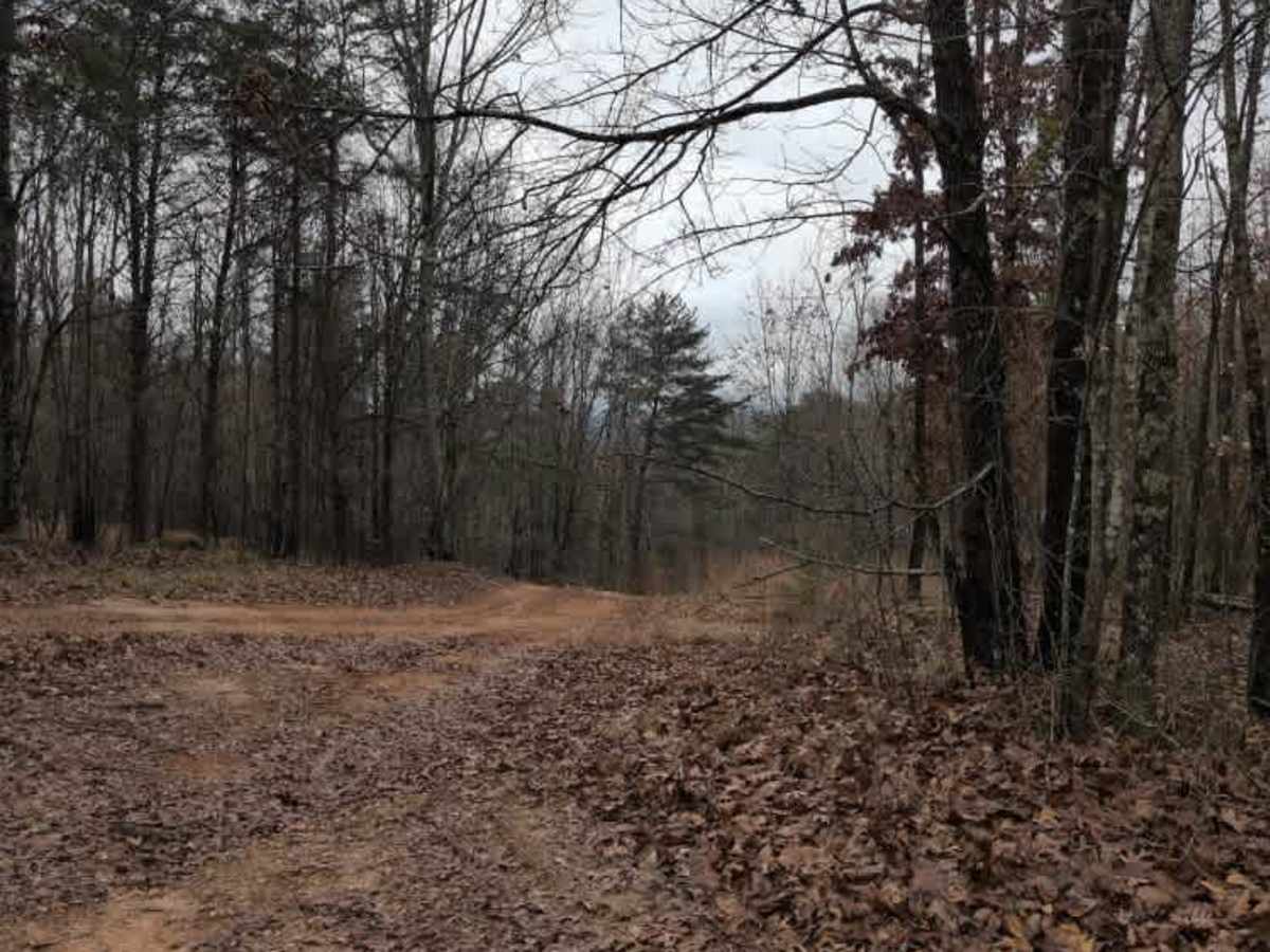 #32 Gobbler's Cutoff photo 6