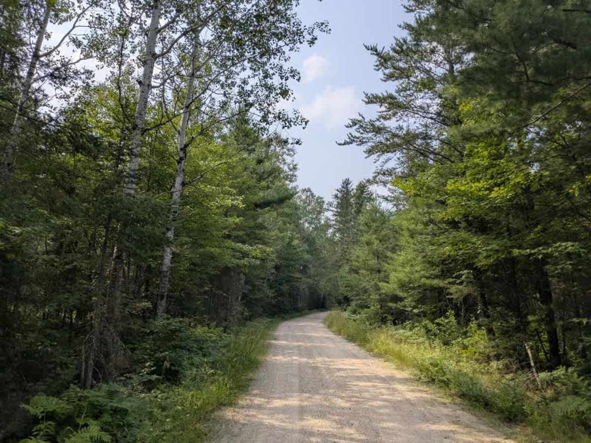 Gold Mine Road  photo 4