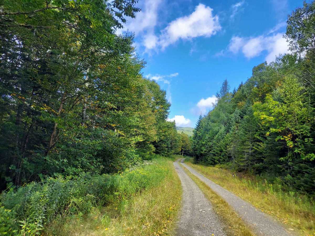 Scott Bog Road photo 5