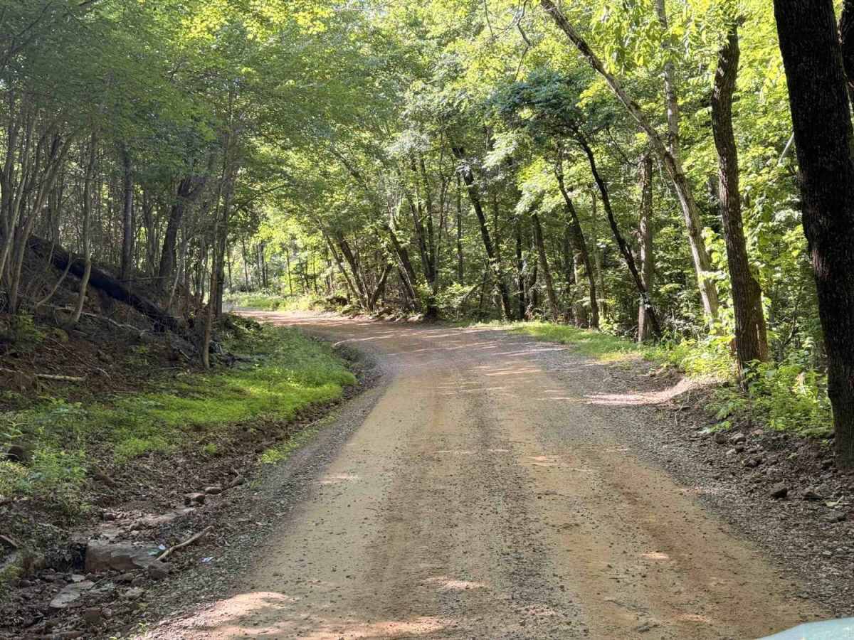 Old Cove City Road trail photo
