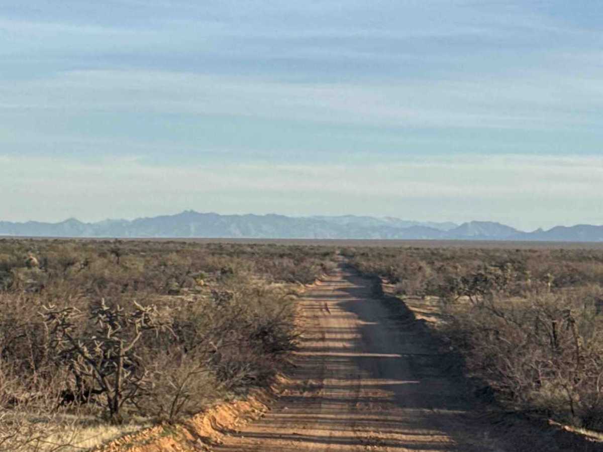 Artesia Road  photo 5