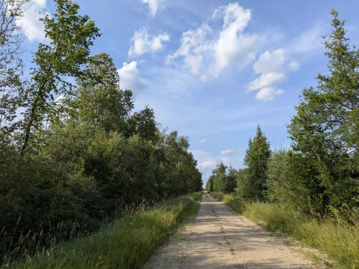 Faunce Forest Road photo 4