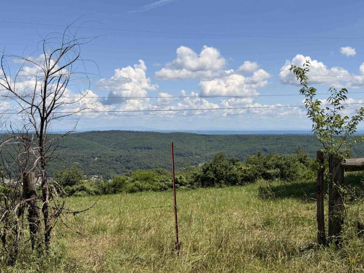 Rackley Mountain Road photo 6