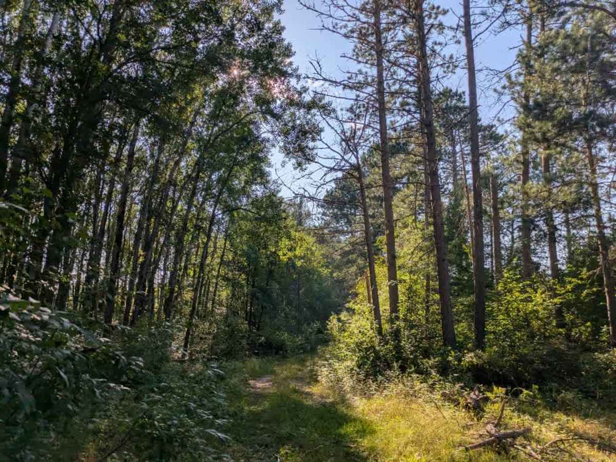 2169D trail photo