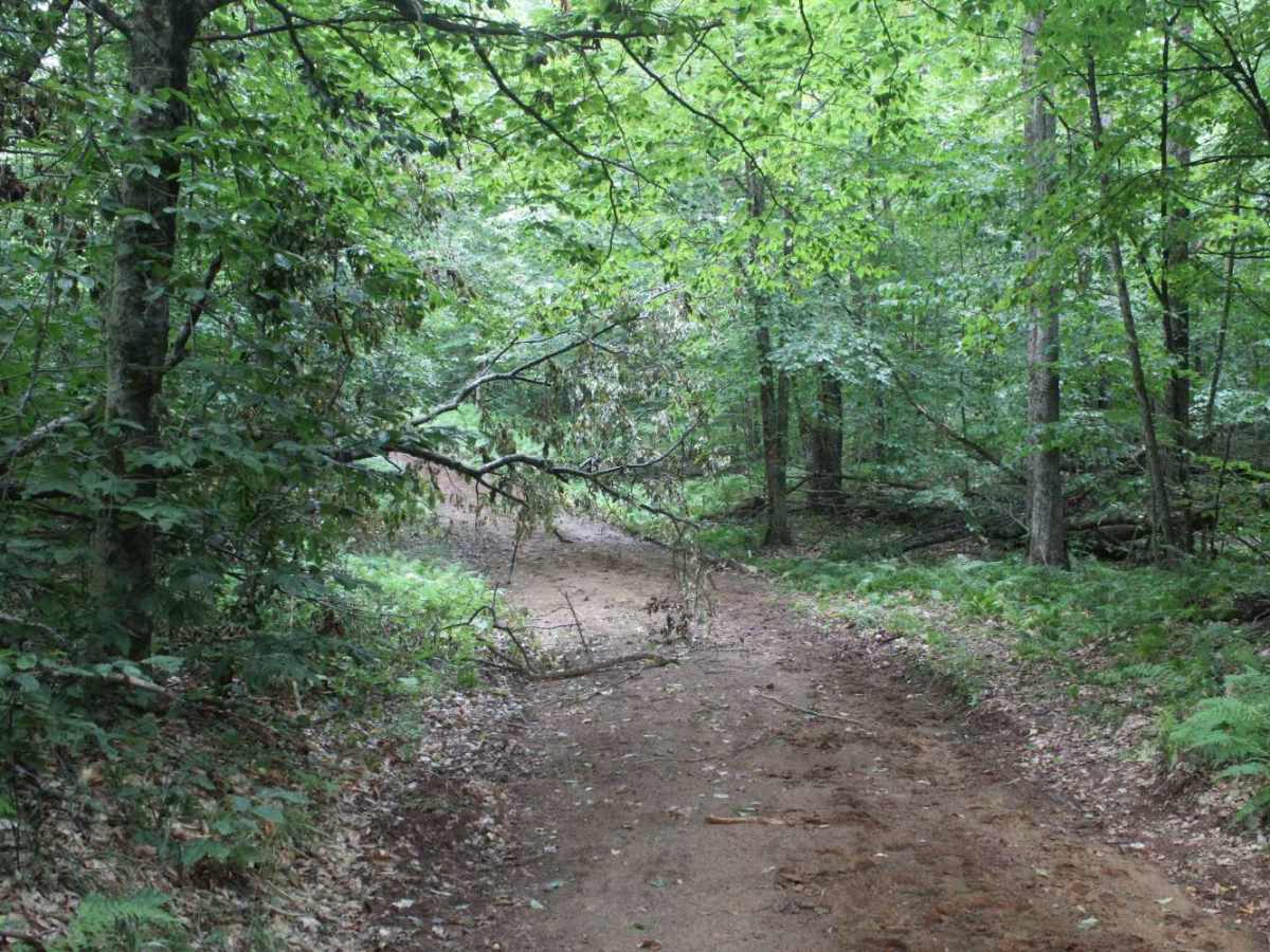Mikes Road photo 6