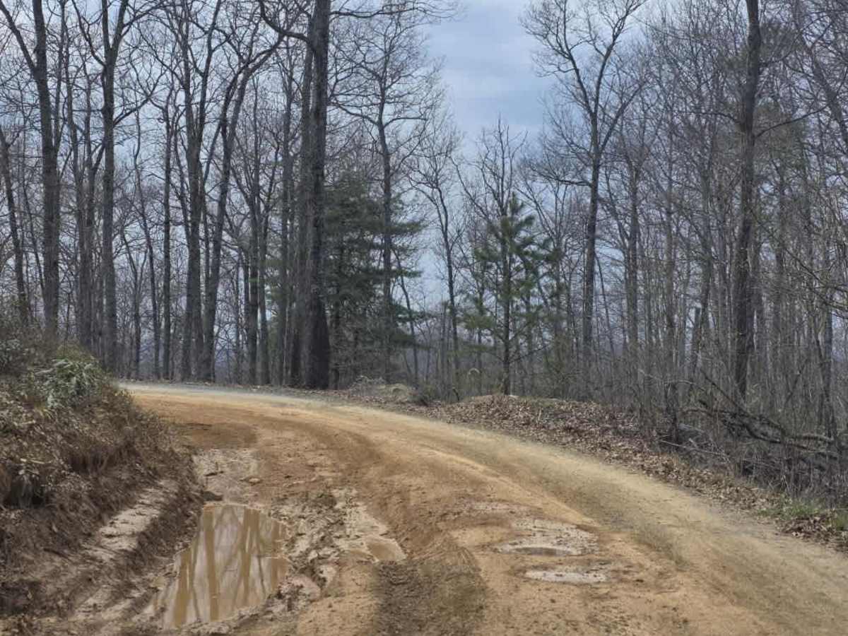Big Creek Road photo 4