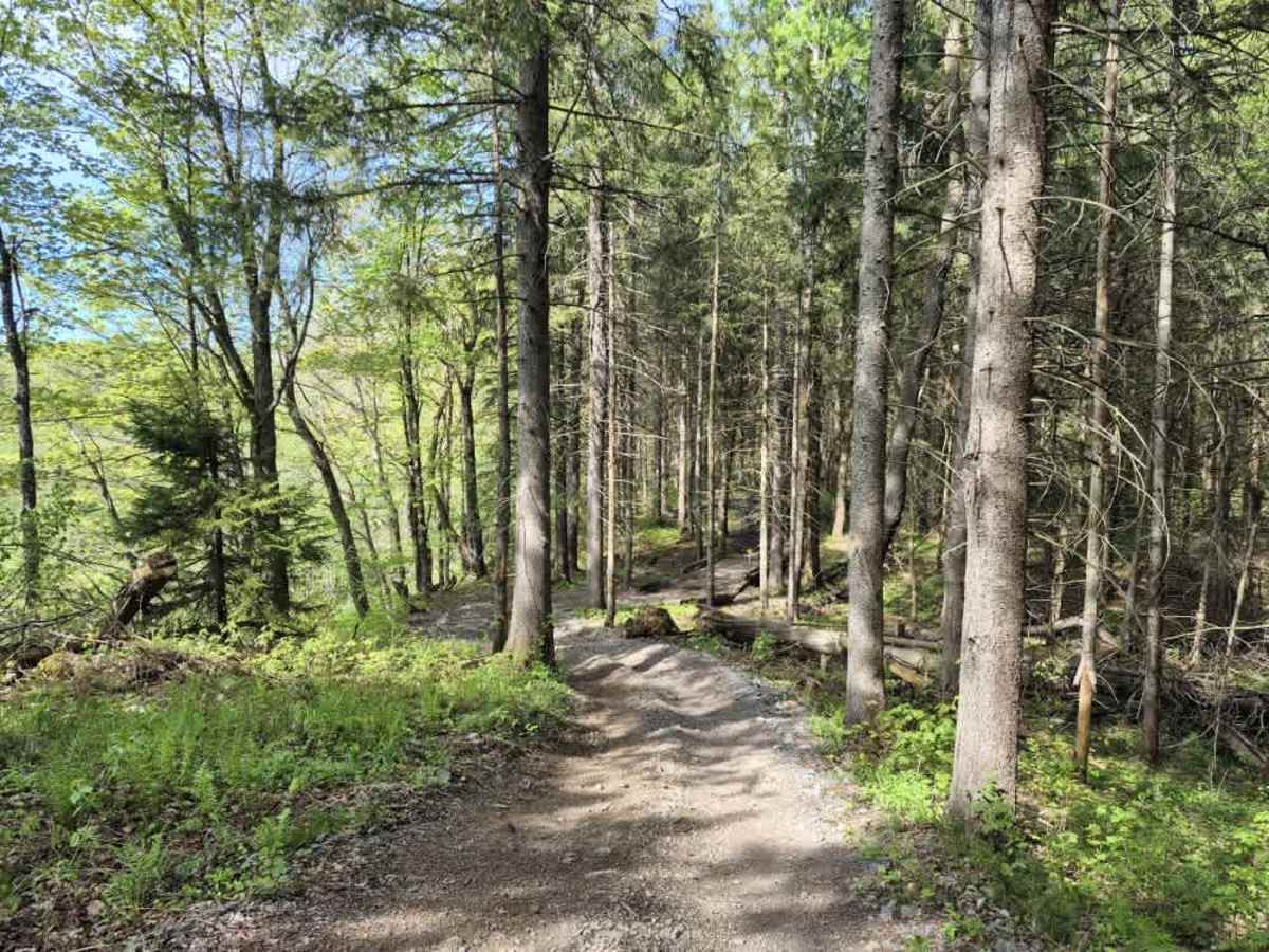 Upper Forks-Factory Trail photo 2
