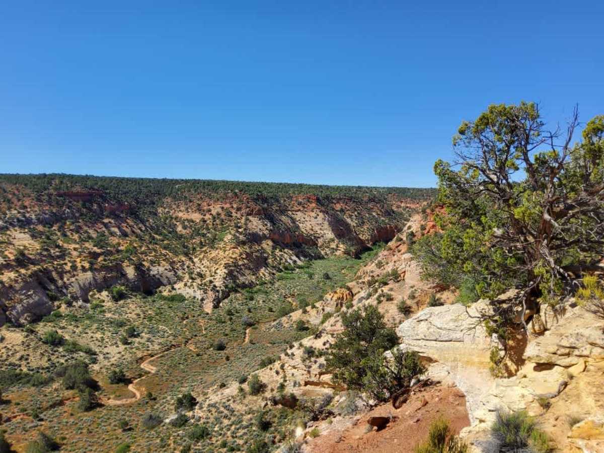BLM 104H trail photo