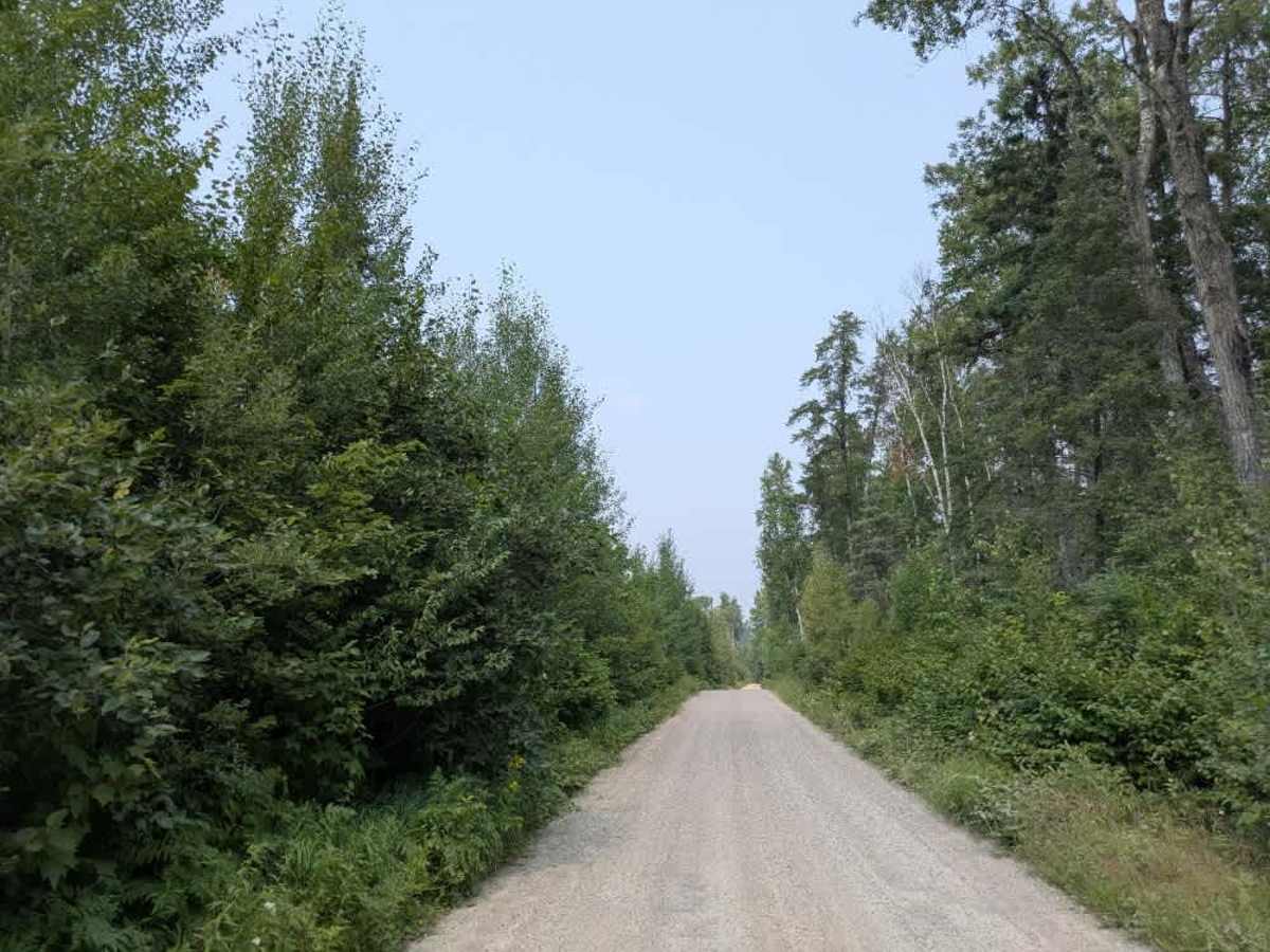 Low Lake photo 3