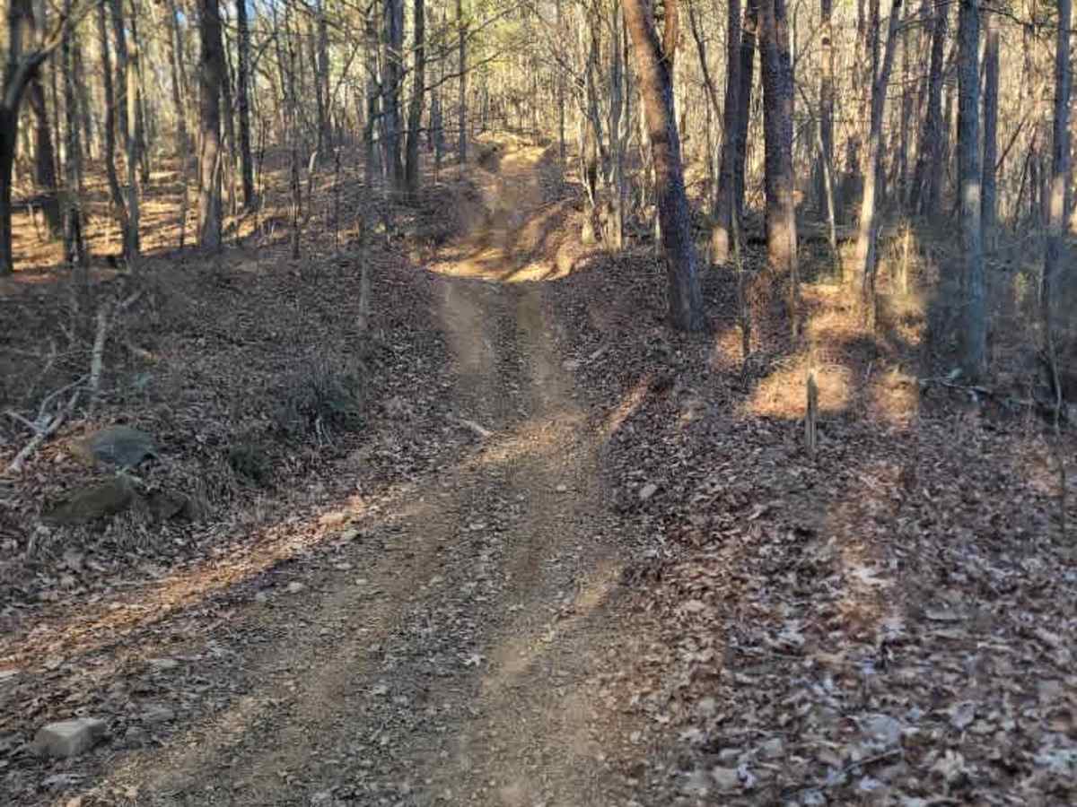 181-K trail photo