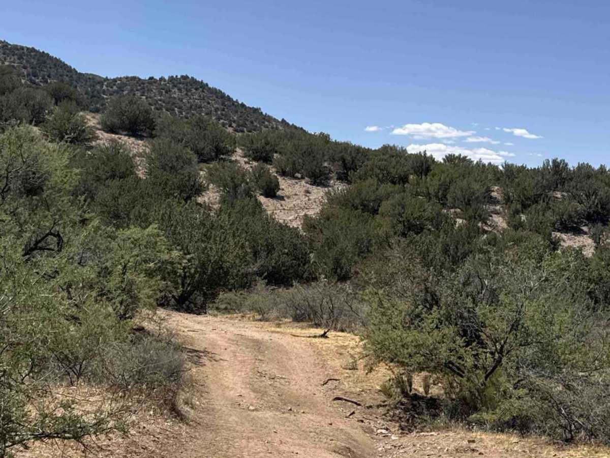 Lower Mine Trail  photo 5