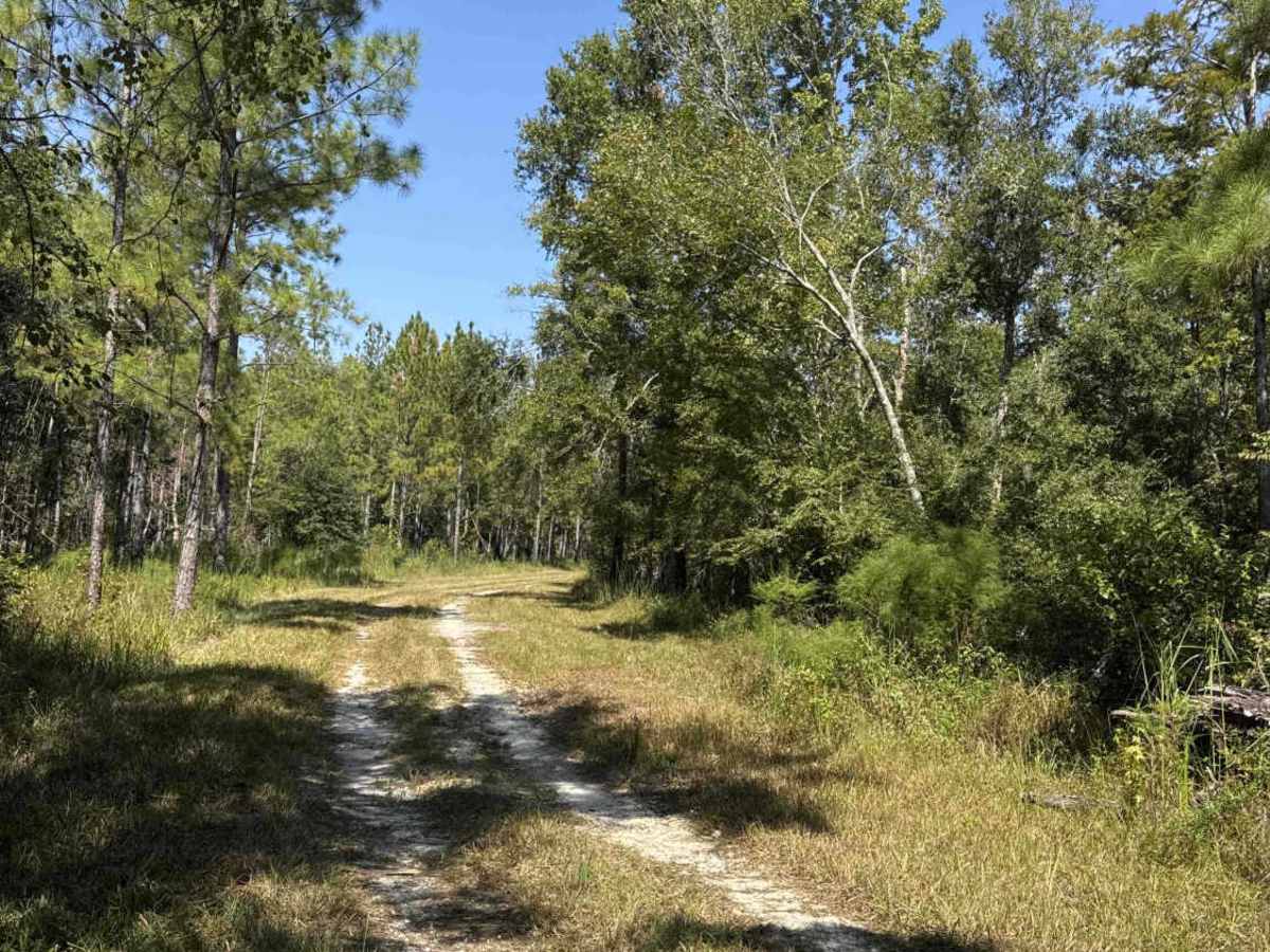 Boundary Loop trail photo