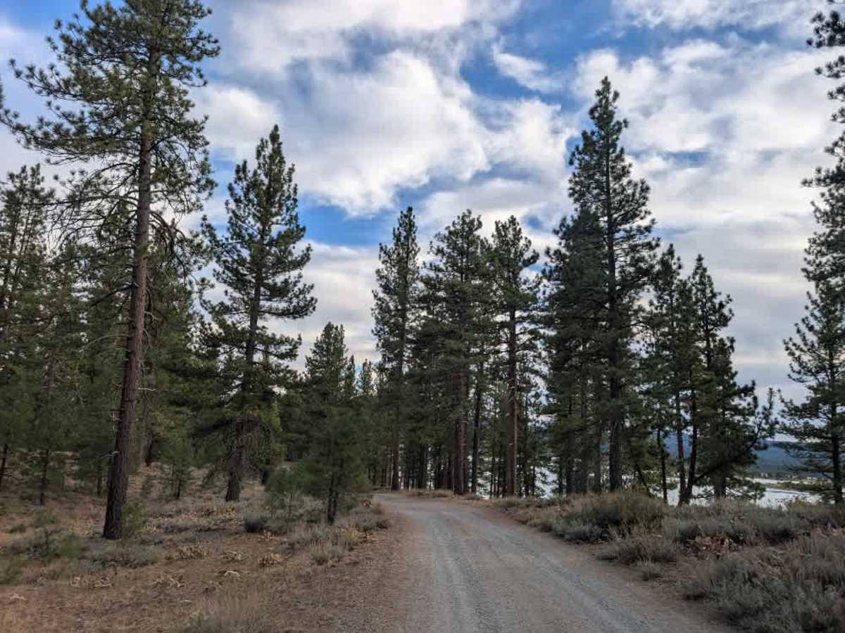 FS 24N55Y photo 6