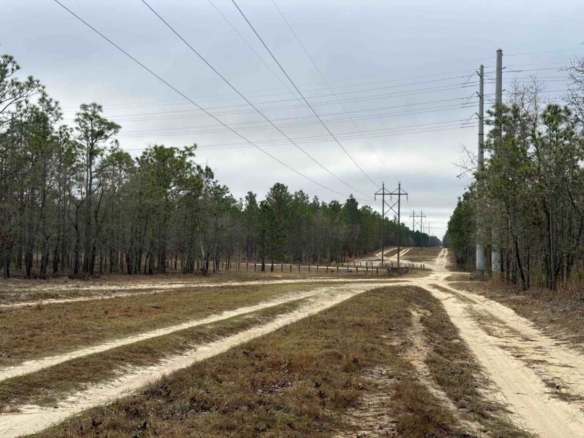 Powerline East - FS 300-C photo 3