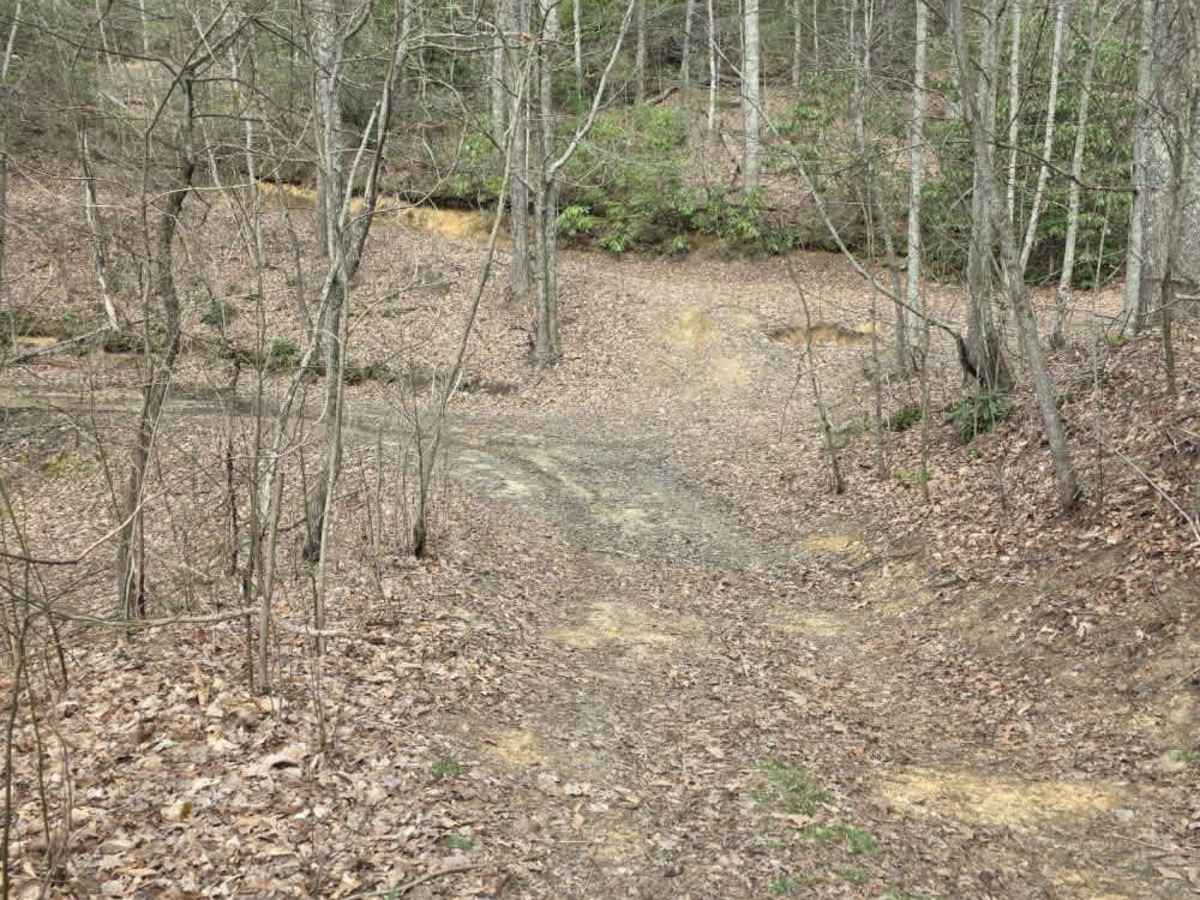 Upper Briar Creek Spur - FS 4354A photo 5
