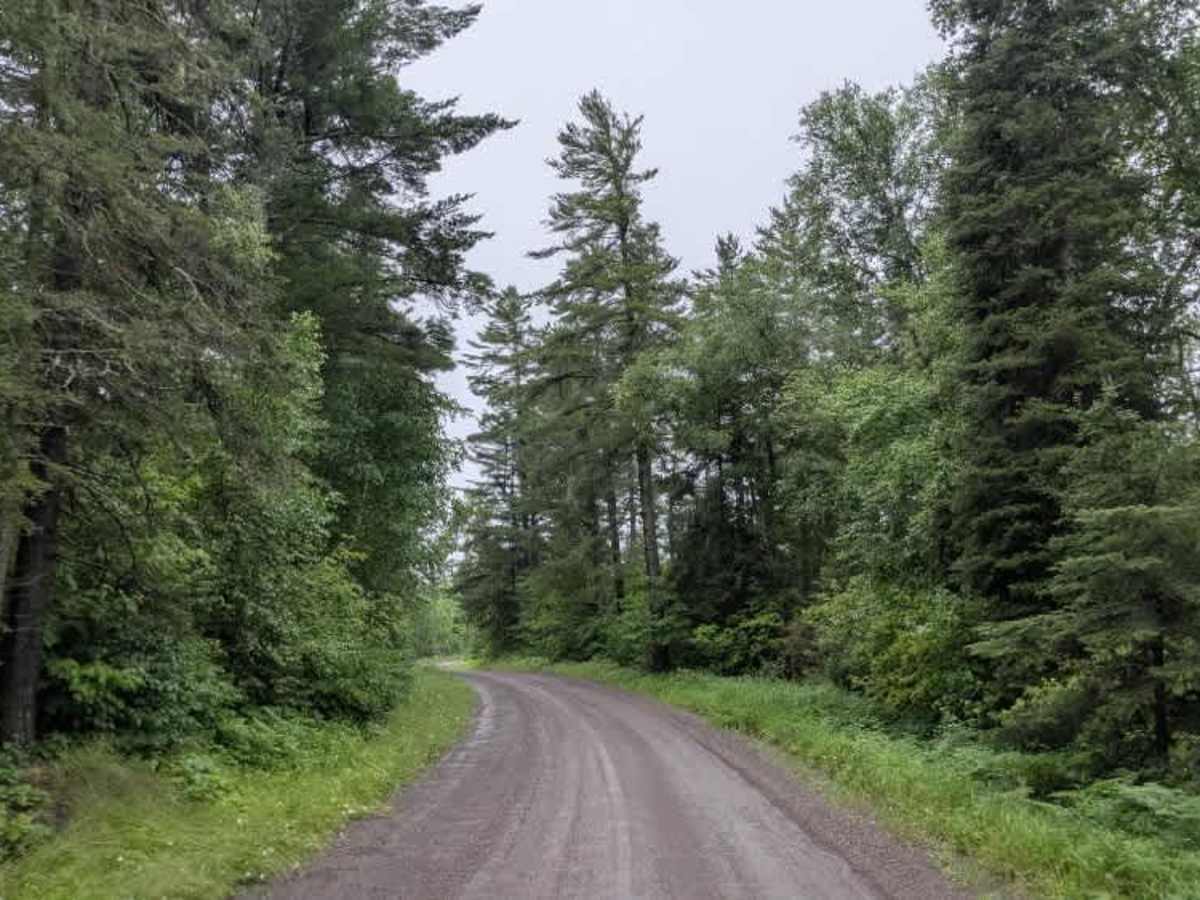 Sawbill Trail photo 2