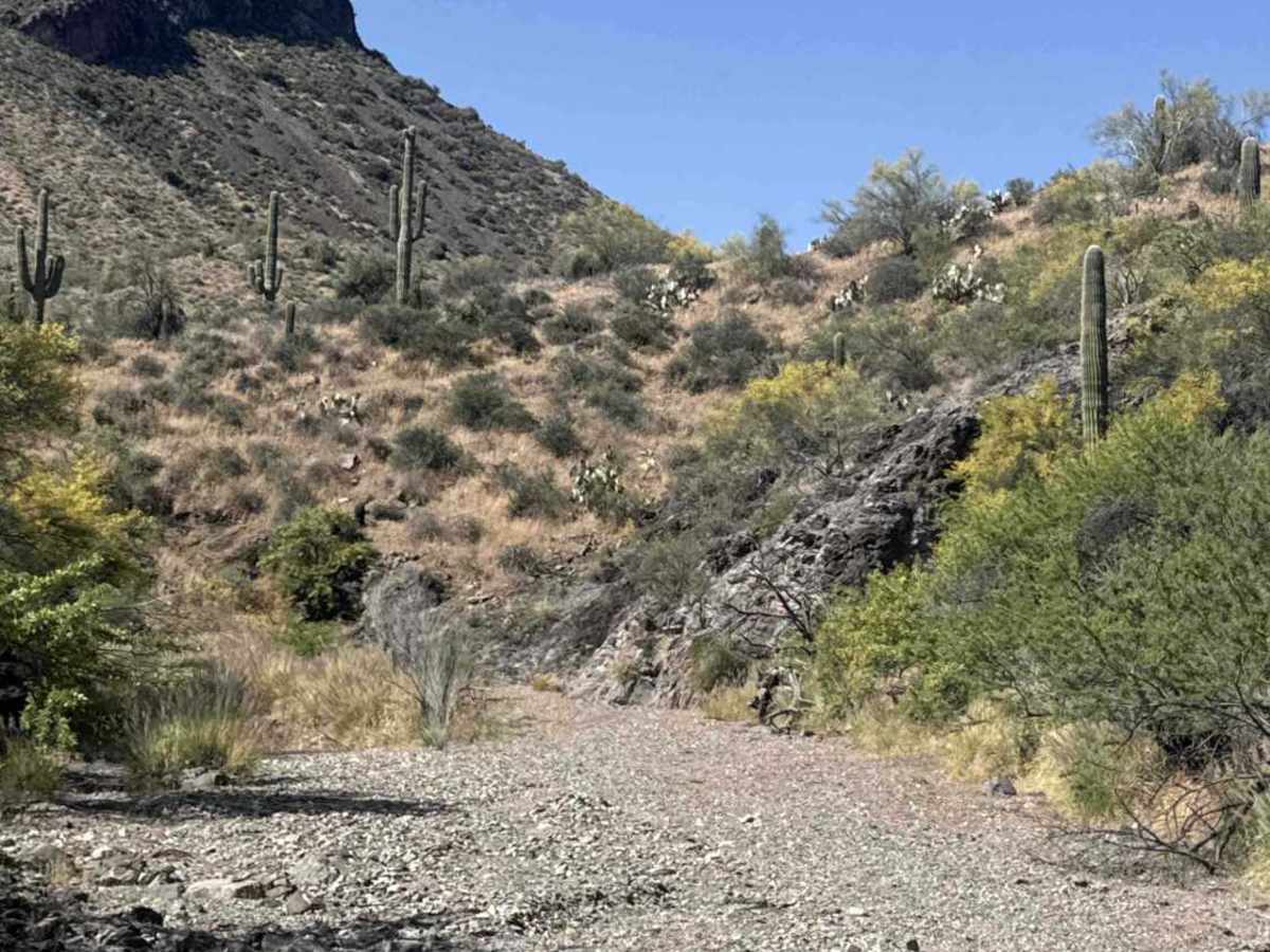 Black Butte Wash photo 3