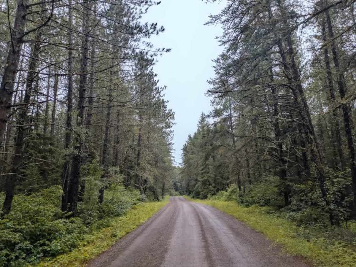 Perent Lake Road photo 6