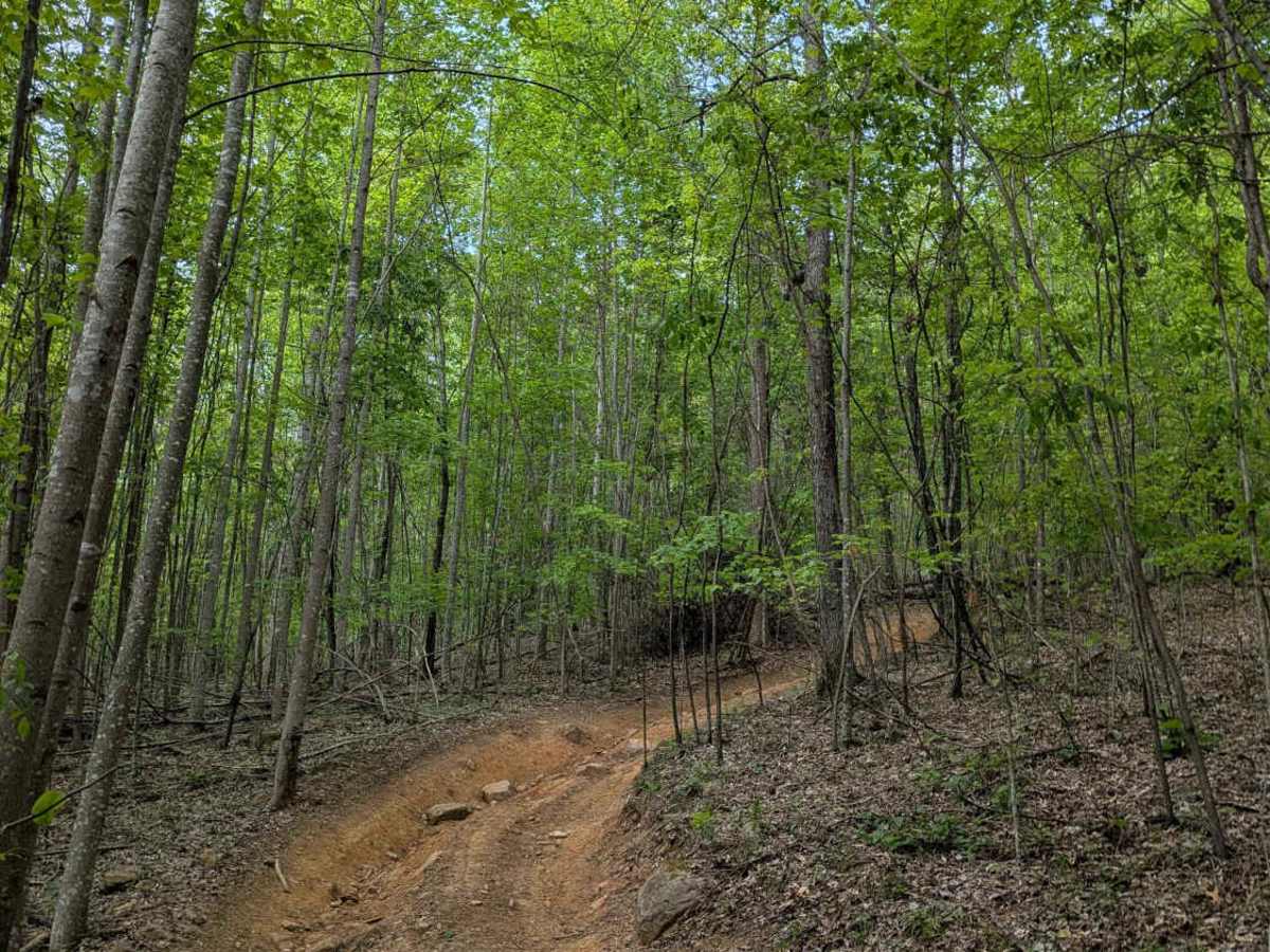 Trail 30 photo 6