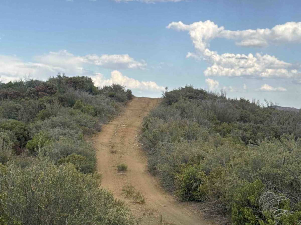 Bradshaw Trail - FS 9222C photo 3