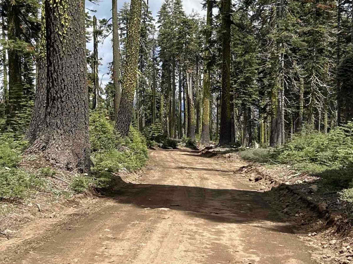 Foresthill Road trail photo