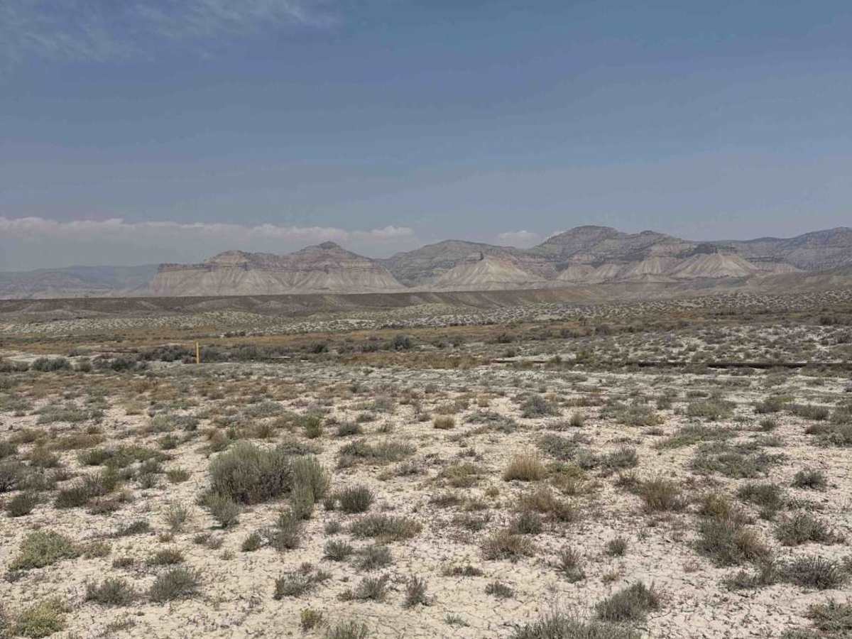 BLM 114A trail photo