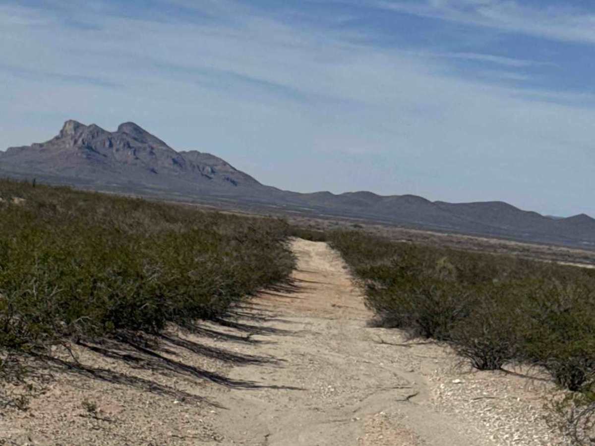 Ss1134 photo 2