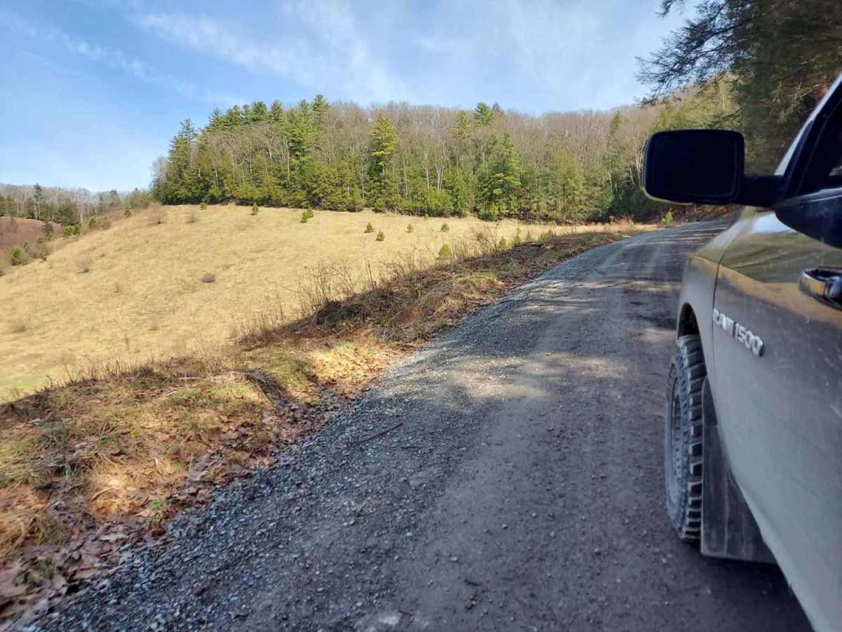 Gray Hill Road photo 5