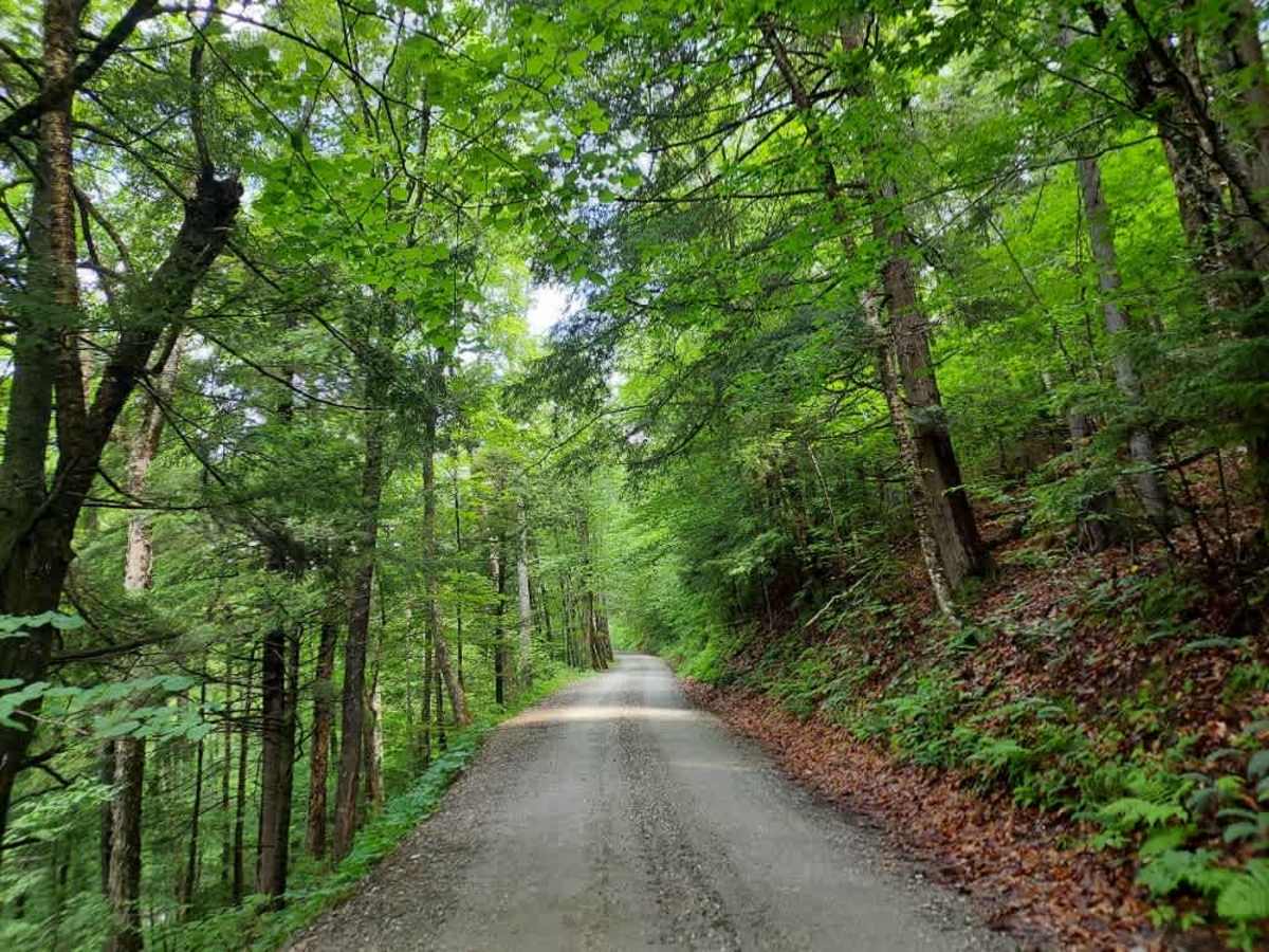 Bridgewater Hollow Road photo 3