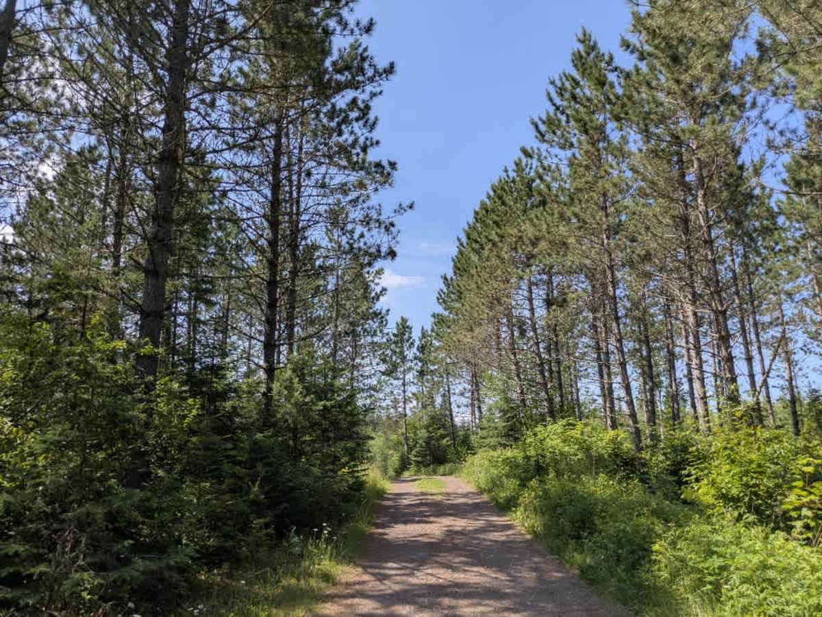 Destination Road trail photo