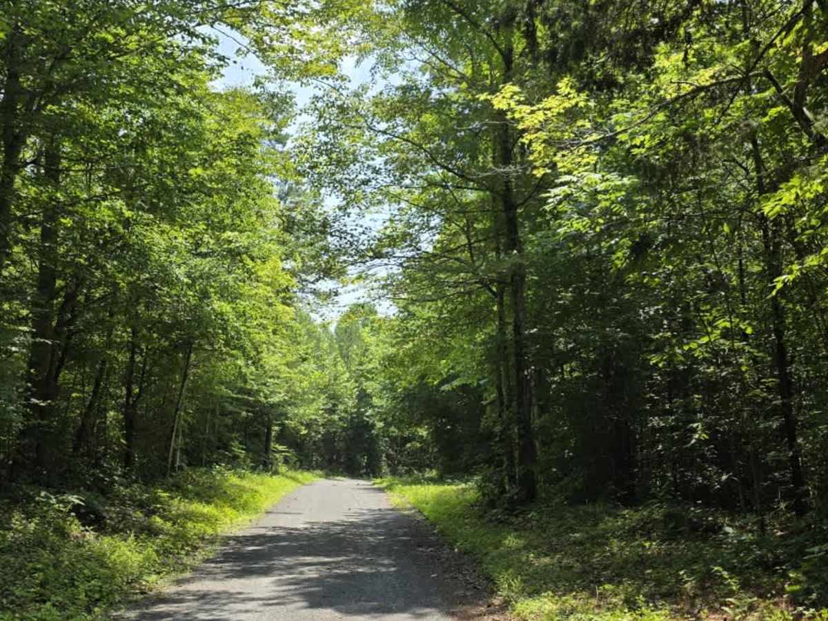 Goose Horn Road - Macon County Tour trail photo
