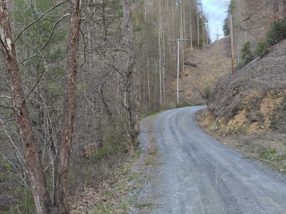Sams Branch Road photo 4