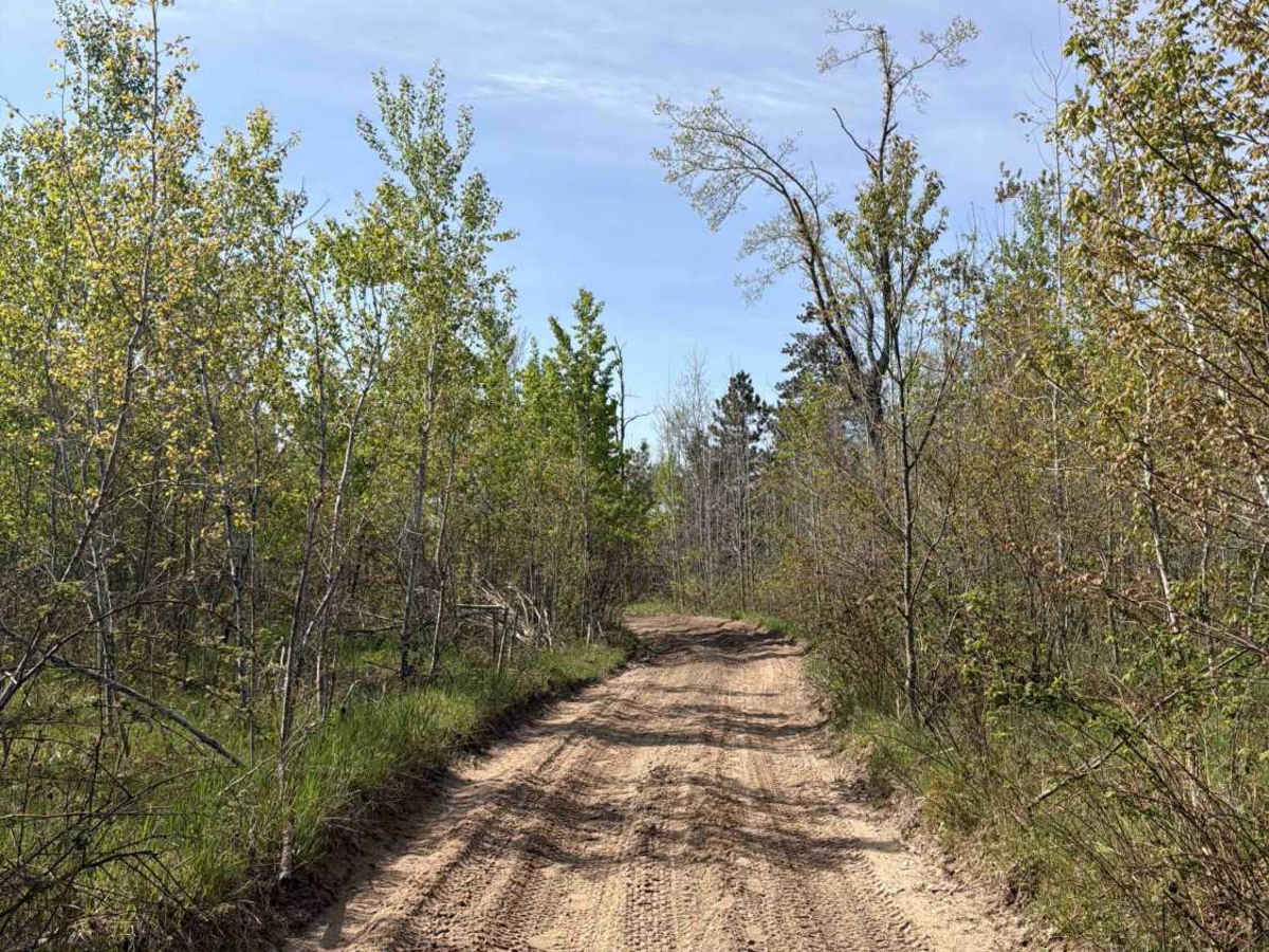 Sturgis Spur photo 6