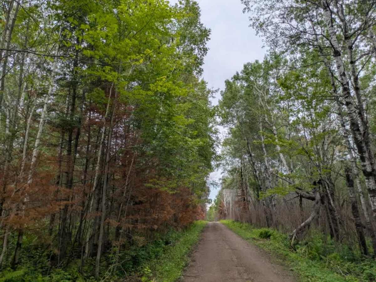 Hypo Creek  photo 2