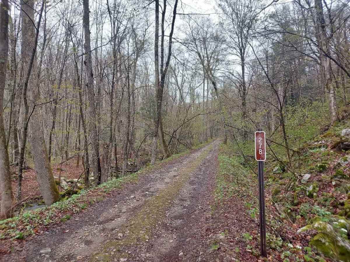 Middle Ridge Road trail photo