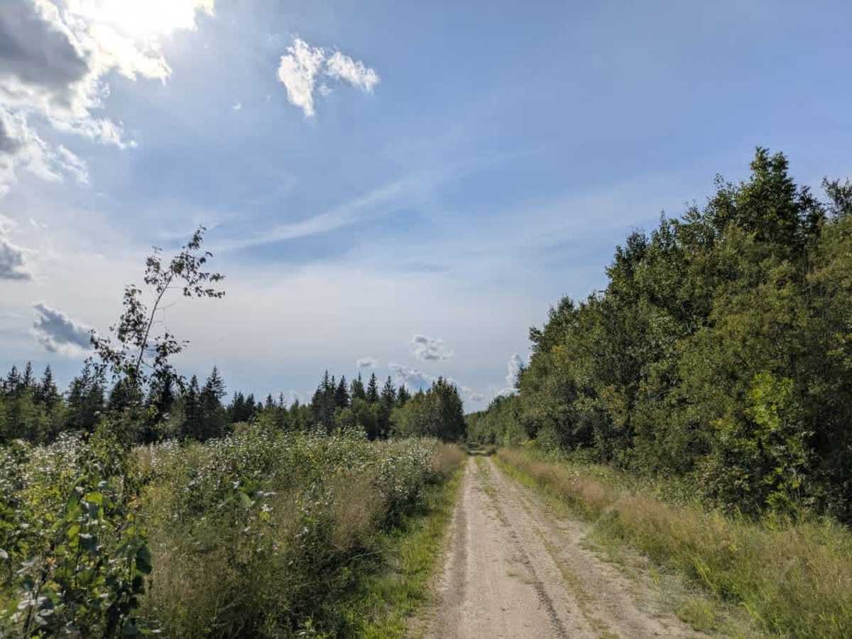 Rapid River Road photo 6