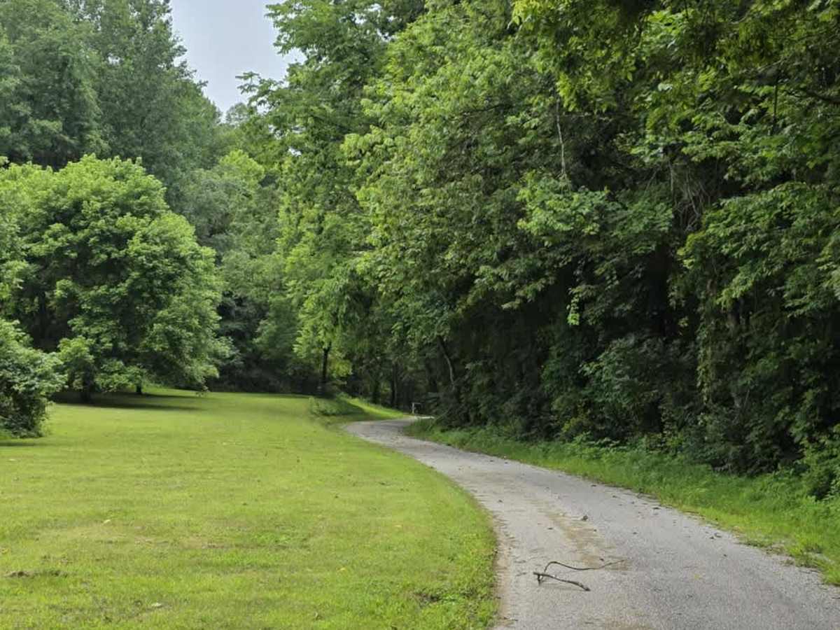 Puncheon Creek Road - Macon County Tour photo 4