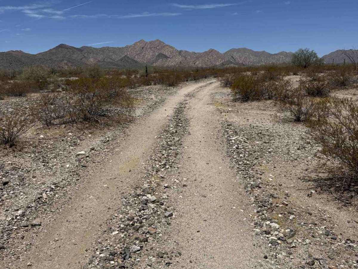 Creosote Run photo 6