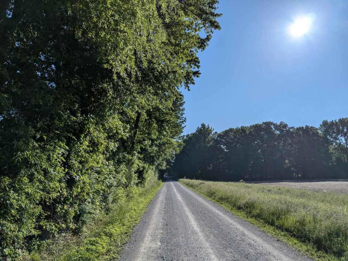 Counts Road photo 3