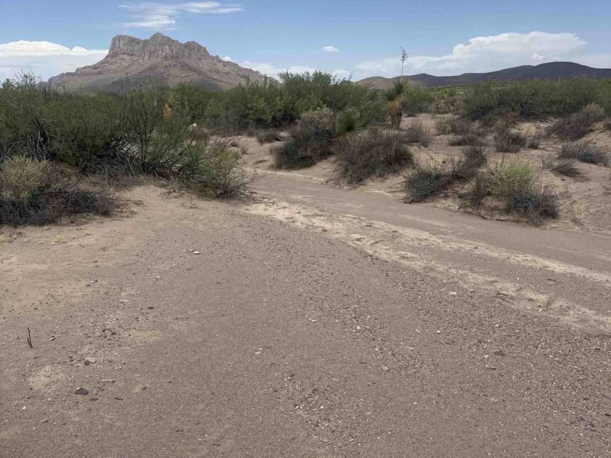 Ss1104  photo 4