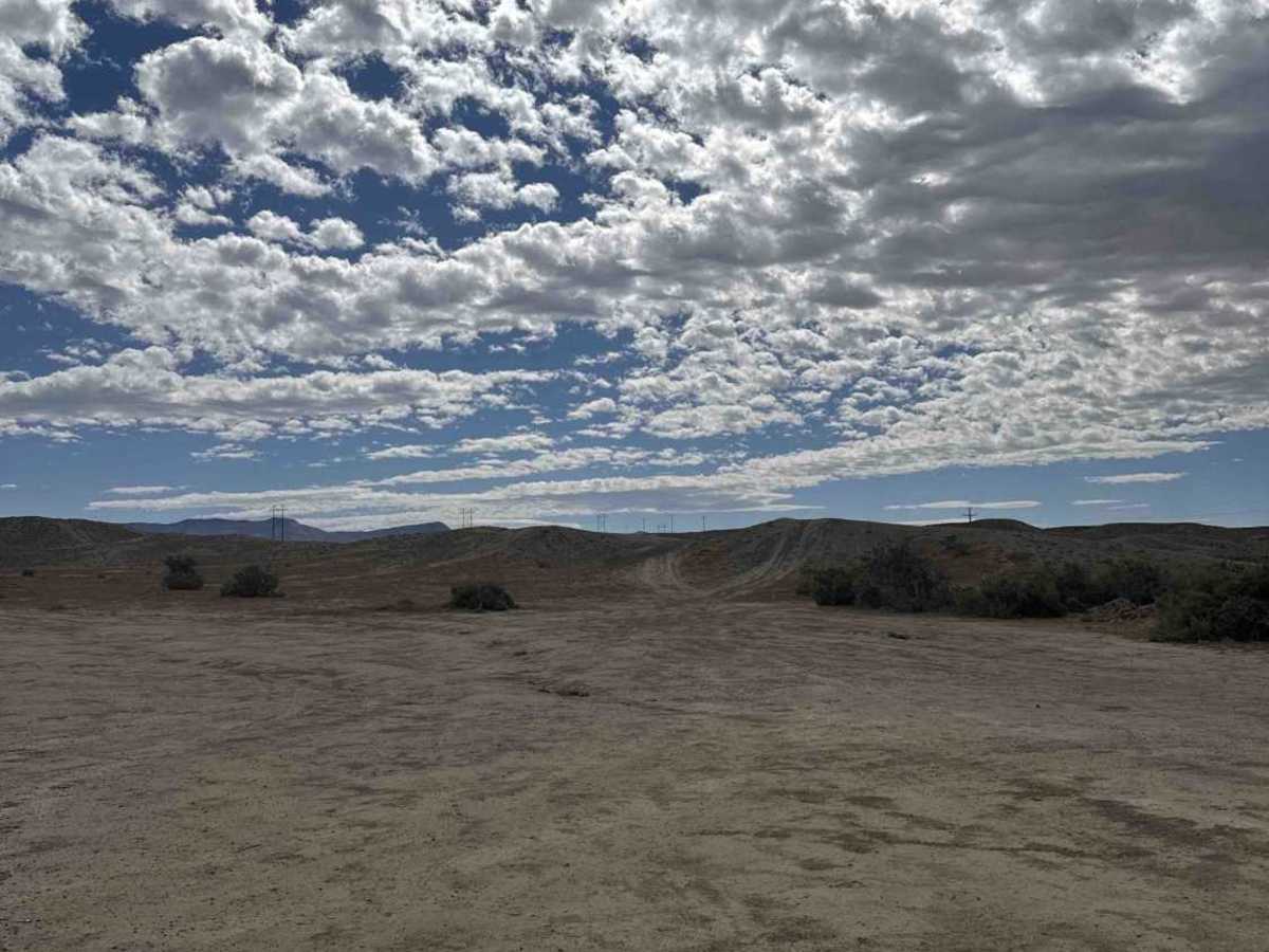 BLM 179 photo 3