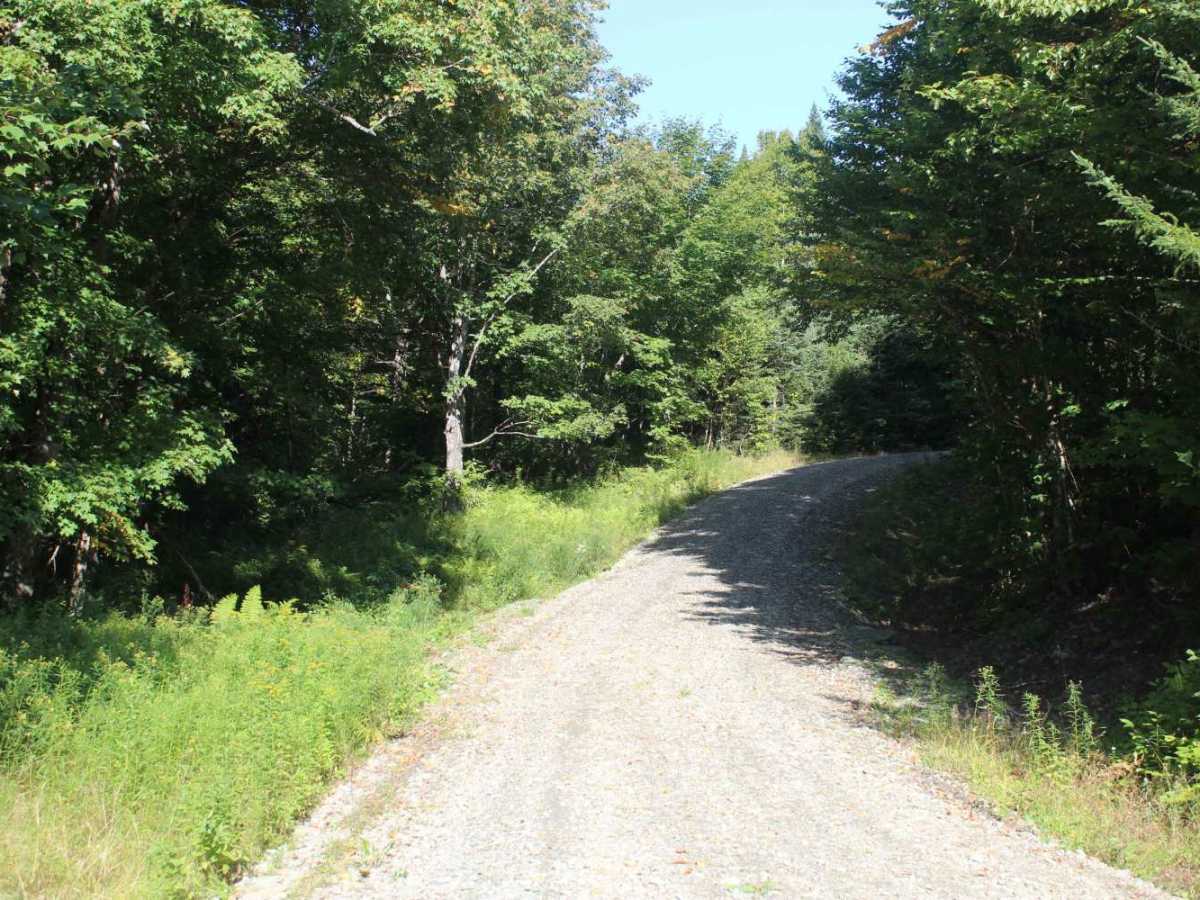 Beaman Hill Trail photo 3