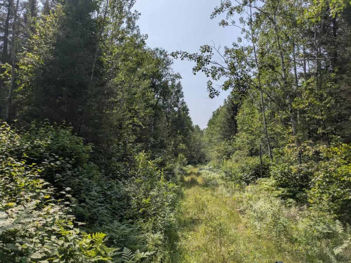 Pocket Lake photo 6