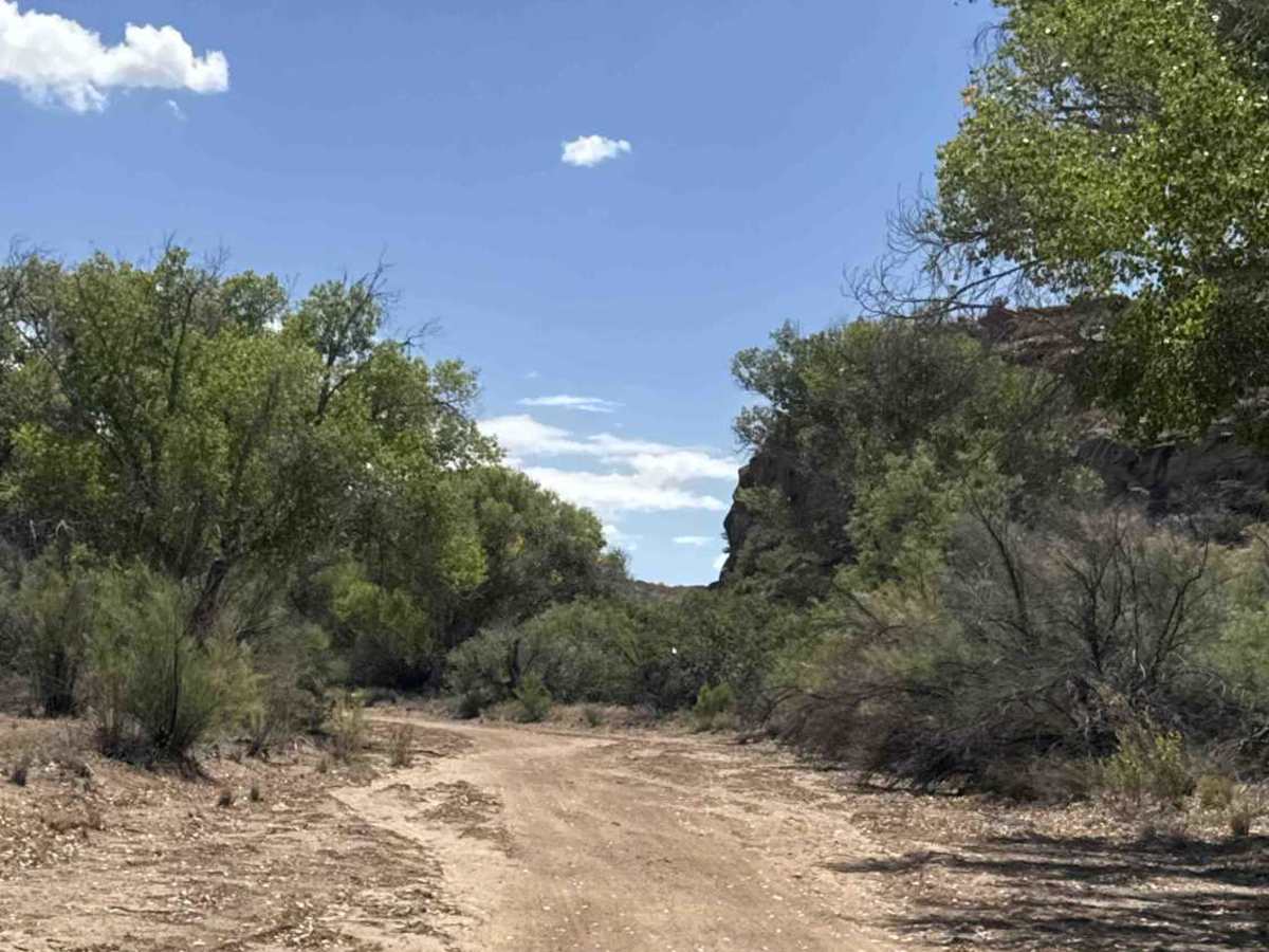 Copper Basin Wash - BLM 50006 photo 2